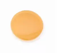 Чашки Петри Candida (среда Candida Chromogenic agar) BGR-CP-014 БИОКОНТРОЛЬ